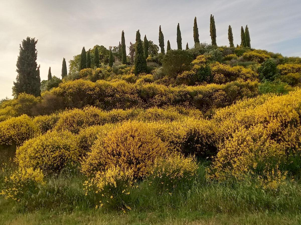 -casina Vitty- Apartment Montepulciano Stazione